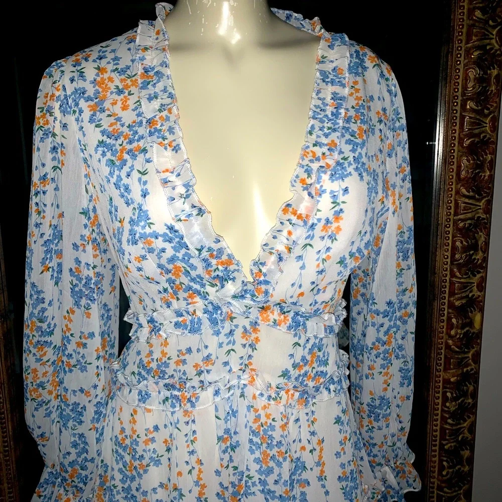 Gorgeous DITSY floral cutout back dress with the cutest details Small - Picture 2 of 10